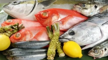 أسعار السمك والجمبري اليوم الإثنين 15 ديسمبر 2025: تحركات السوق وتأثيرها على المستهلكين